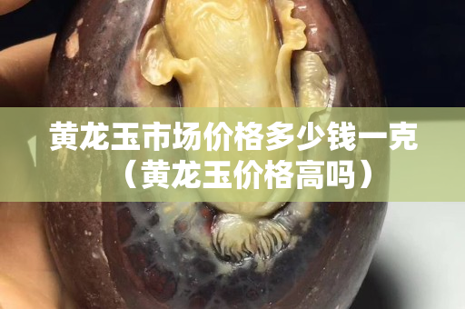黃龍玉市場價格多少錢一克（黃龍玉價格高嗎）