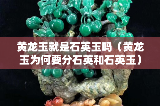 黃龍玉就是石英玉嗎（黃龍玉為何要分石英和石英玉）