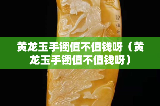 黃龍玉手鐲值不值錢呀（黃龍玉手鐲值不值錢呀）