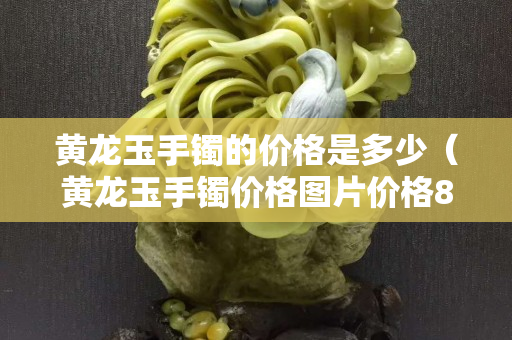 黃龍玉手鐲的價格是多少（黃龍玉手鐲價格圖片價格800左右）