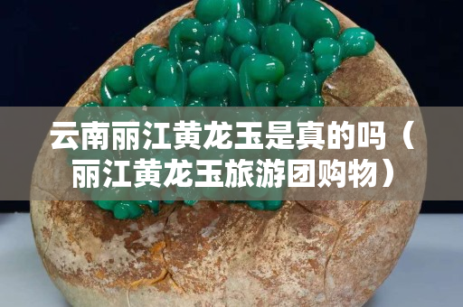 云南麗江黃龍玉是真的嗎（麗江黃龍玉旅游團購物）