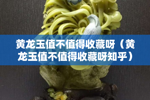 黃龍玉值不值得收藏呀（黃龍玉值不值得收藏呀知乎）