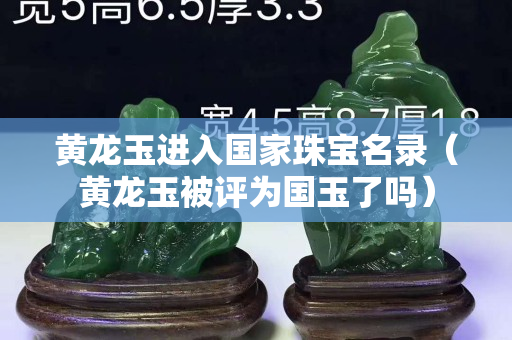 黃龍玉進(jìn)入國家珠寶名錄（黃龍玉被評(píng)為國玉了嗎）