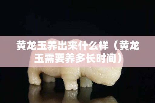 黃龍玉養出來什么樣（黃龍玉需要養多長時間）