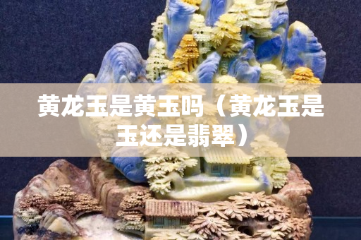 黃龍玉是黃玉嗎（黃龍玉是玉還是翡翠）