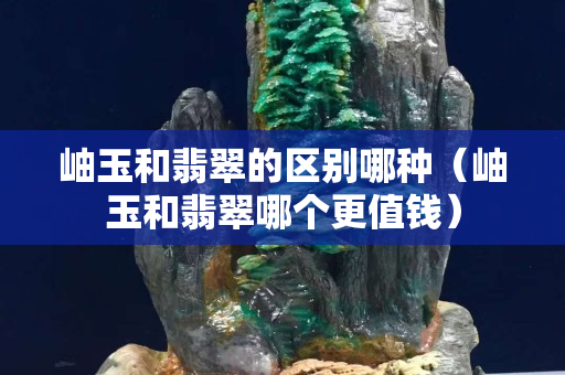 岫玉和翡翠的區(qū)別哪種（岫玉和翡翠哪個更值錢）