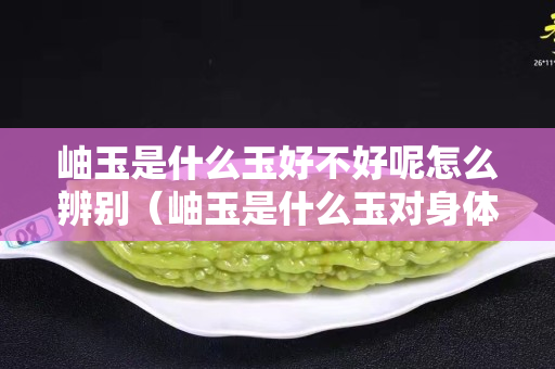 岫玉是什么玉好不好呢怎么辨別（岫玉是什么玉對身體好嗎）