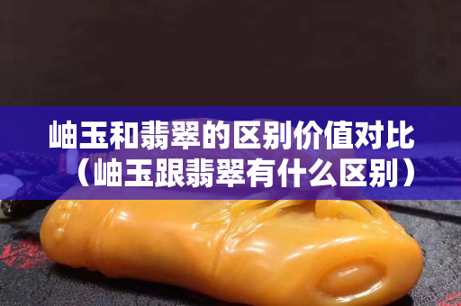 岫玉和翡翠的區別價值對比（岫玉跟翡翠有什么區別）