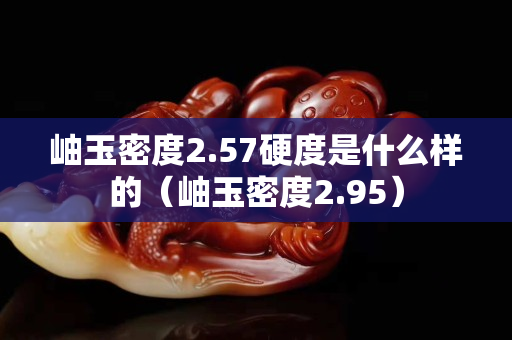 岫玉密度2.57硬度是什么樣的（岫玉密度2.95）