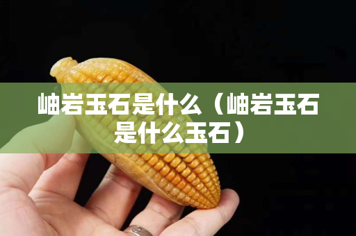 岫巖玉石是什么（岫巖玉石是什么玉石）
