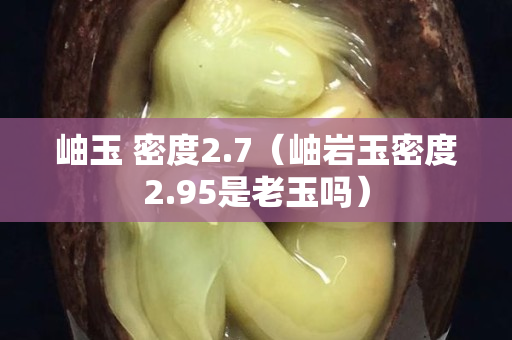 岫玉 密度2.7（岫巖玉密度2.95是老玉嗎）