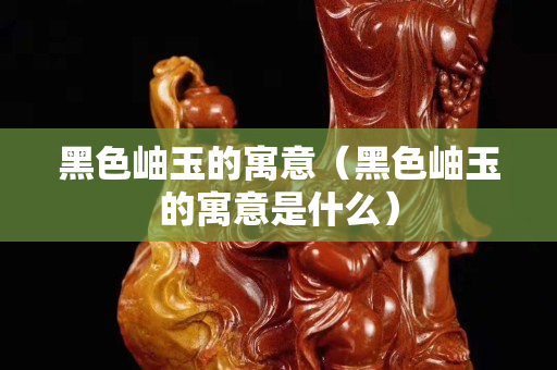 黑色岫玉的寓意（黑色岫玉的寓意是什么）