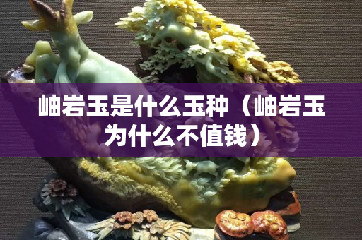 岫巖玉是什么玉種（岫巖玉為什么不值錢）