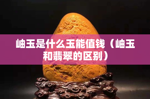 岫玉是什么玉能值錢（岫玉和翡翠的區別）