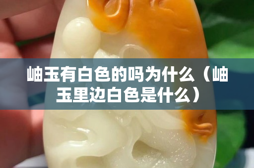 岫玉有白色的嗎為什么（岫玉里邊白色是什么）