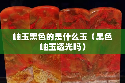 岫玉黑色的是什么玉（黑色岫玉透光嗎）