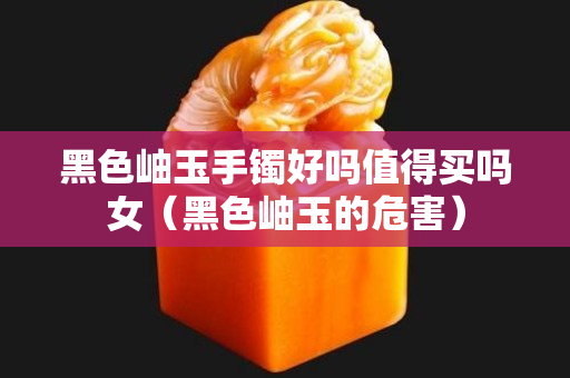 黑色岫玉手鐲好嗎值得買嗎女（黑色岫玉的危害）