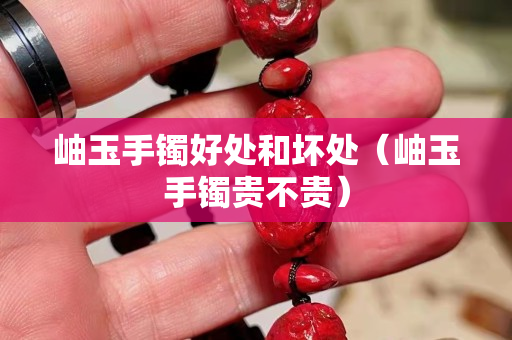 岫玉手鐲好處和壞處（岫玉手鐲貴不貴）
