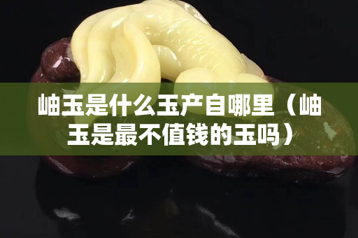 岫玉是什么玉產(chǎn)自哪里（岫玉是最不值錢的玉嗎）