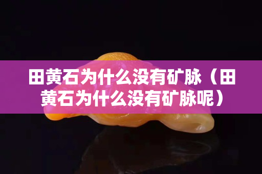 田黃石為什么沒有礦脈（田黃石為什么沒有礦脈呢）