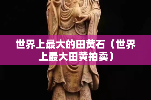 世界上最大的田黃石(世界上最大田黃拍賣) 世界上最大的田黃石(世界上最大田黃拍賣)