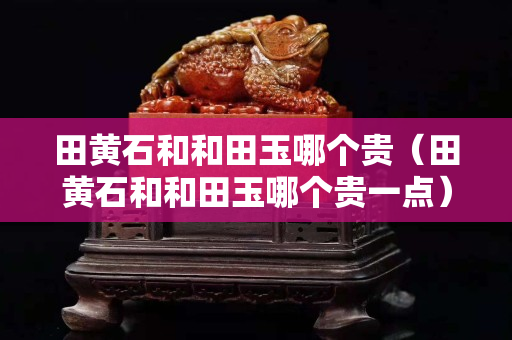田黃石和和田玉哪個貴(田黃石和和田玉哪個貴一點) 田黃石和和田玉哪個貴(田黃石和和田玉哪個貴一點)