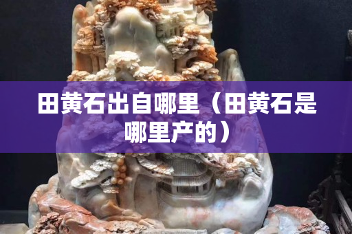 田黃石出自哪里（田黃石是哪里產的）
