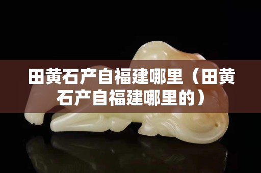 田黃石產自福建哪里（田黃石產自福建哪里的）