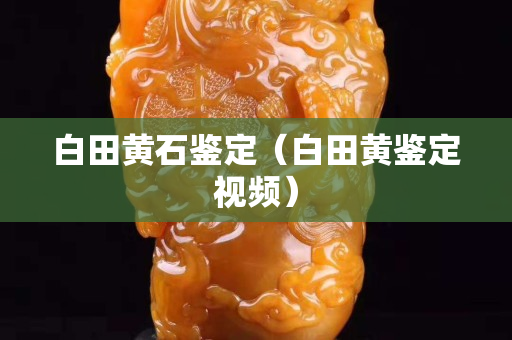 白田黃石鑒定（白田黃鑒定視頻）