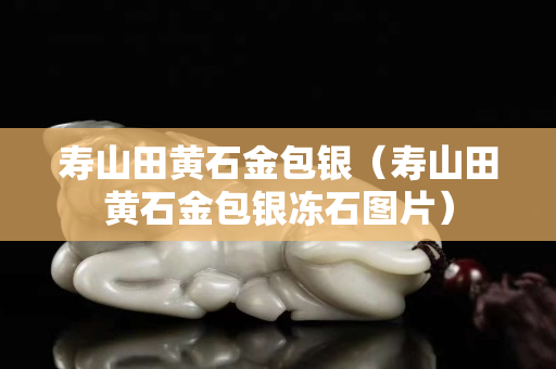 壽山田黃石金包銀(壽山田黃石金包銀凍石圖片) 壽山田黃石金包銀(壽山田黃石金包銀凍石圖片)