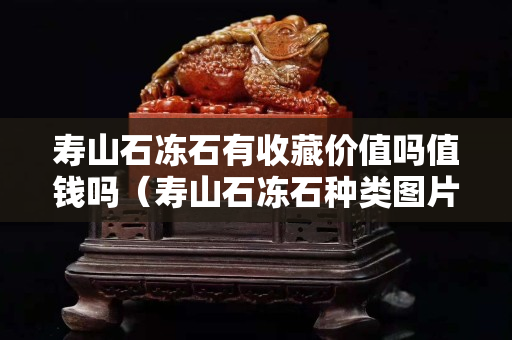 壽山石凍石有收藏價值嗎值錢嗎（壽山石凍石種類圖片）