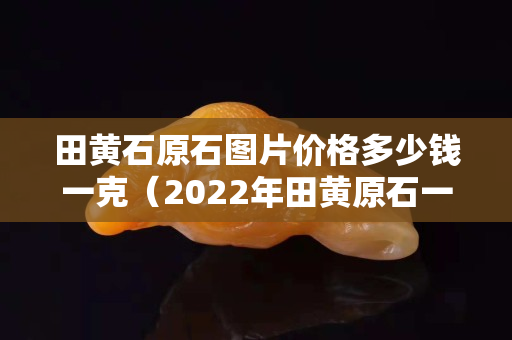田黃石原石圖片價格多少錢一克（2022年田黃原石一克多少錢）