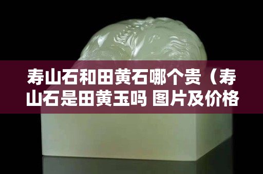 壽山石和田黃石哪個貴（壽山石是田黃玉嗎 圖片及價格）