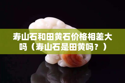 壽山石和田黃石價格相差大嗎（壽山石是田黃嗎？）