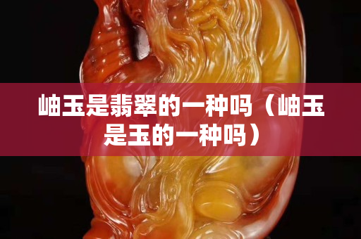 岫玉是翡翠的一種嗎（岫玉是玉的一種嗎）