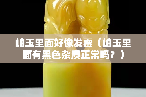 岫玉里面好像發霉（岫玉里面有黑色雜質正常嗎？）
