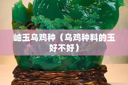 岫玉烏雞種（烏雞種料的玉好不好）