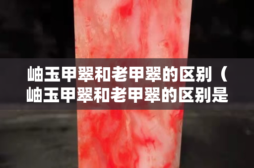 岫玉甲翠和老甲翠的區(qū)別（岫玉甲翠和老甲翠的區(qū)別是什么）