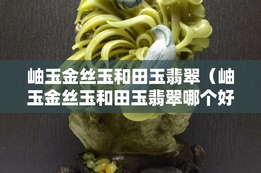 岫玉金絲玉和田玉翡翠(岫玉金絲玉和田玉翡翠哪個好) 岫玉金絲玉和田玉翡翠(岫玉金絲玉和田玉翡翠哪個好)