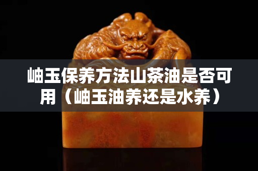 岫玉保養方法山茶油是否可用（岫玉油養還是水養）