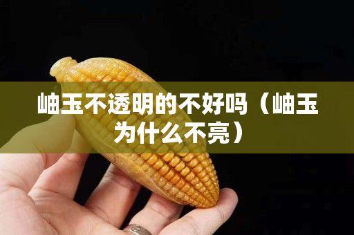 岫玉不透明的不好嗎（岫玉為什么不亮）