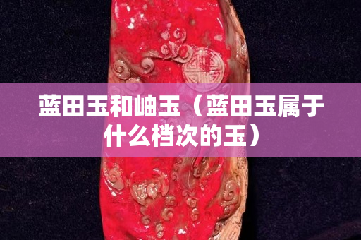 藍田玉和岫玉(藍田玉屬于什么檔次的玉) 藍田玉和岫玉(藍田玉屬于什么檔次的玉)