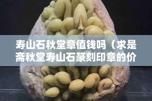 壽山石秋堂章值錢嗎（求是齋秋堂壽山石篆刻印章的價格）