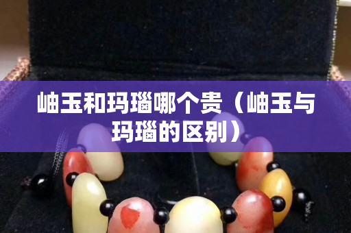 岫玉和瑪瑙哪個貴（岫玉與瑪瑙的區別）