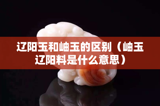 遼陽玉和岫玉的區別（岫玉遼陽料是什么意思）