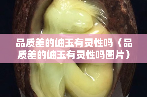 品質差的岫玉有靈性嗎（品質差的岫玉有靈性嗎圖片）