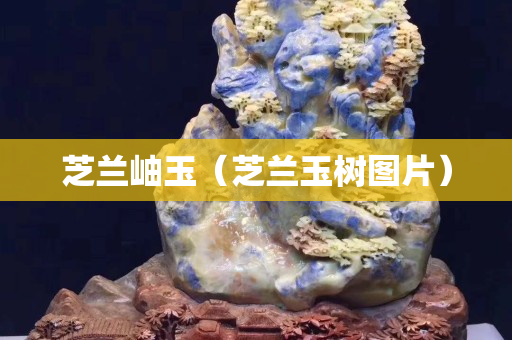 芝蘭岫玉（芝蘭玉樹圖片）