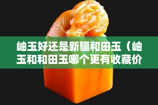 岫玉好還是新疆和田玉（岫玉和和田玉哪個更有收藏價值）