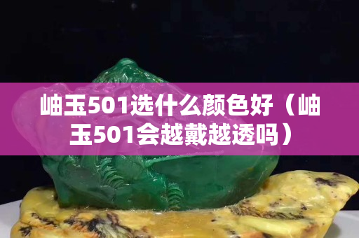 岫玉501選什么顏色好（岫玉501會越戴越透嗎）