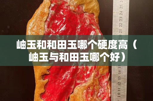 岫玉和和田玉哪個硬度高（岫玉與和田玉哪個好）